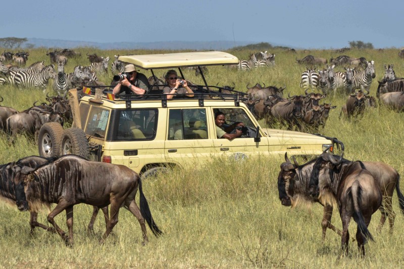 safari-tanzania-Custom.jpg